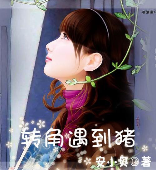 东汉王朝与北边匈奴的冲突，引发了东北边的边患和西域诸国的入侵